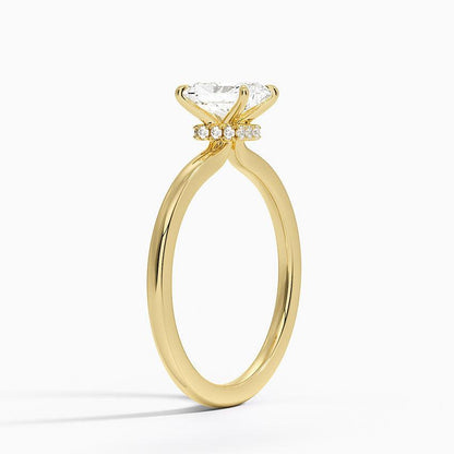 The Veiled Secret Halo(Radiant Cut) - RV The diamond dealer